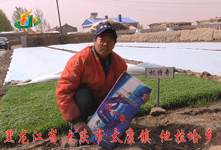 大慶-太康(kang)鎮-用戶迴訪視頻(pin)