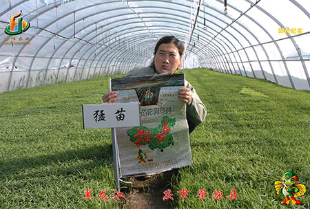 大(da)慶(qing) 肇(zhao)源縣-迴訪視(shi)頻