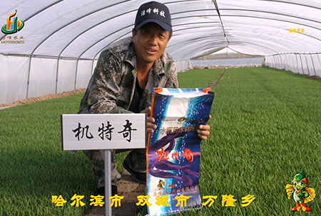 哈爾(er)濱雙城(cheng)萬(wan)隆(long)-用(yong)戶迴訪視(shi)頻(pin)