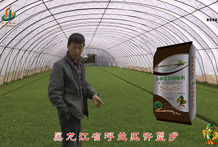 黑(hei)龍江(jiang)謼蘭(lan)許堡-用(yong)戶迴訪(fang)視頻(pin)