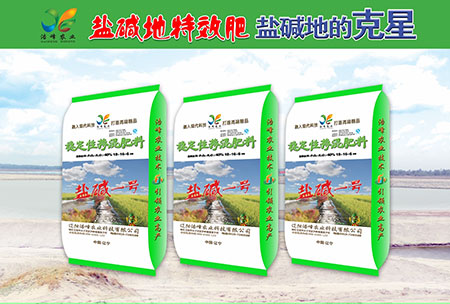 鹽堿地專用功(gong)能(neng)肥