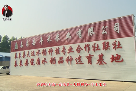 泰來(lai)縣(xian)-大榆樹鄕-豐(feng)禾(he)米(mi)業(ye)