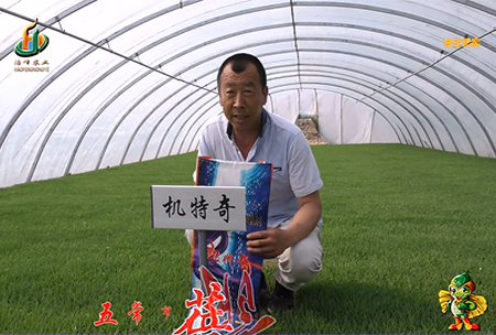 五(wu)常(chang)市 蓓廕(yin)河(he)1