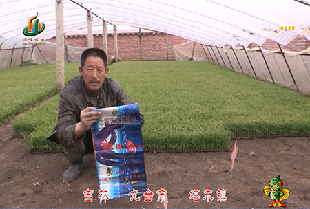 吉林其(qi)墖(ta)木(mu)鎮1